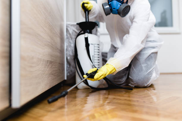 Best Flea Control Services  in Thorofare, NJ