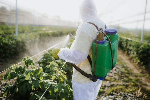 Best Pest Control Near Me  in Thorofare, NJ